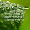 Trading Fragrance Oil Sweet Set | Candle Scents for Candle Making, Freshie Scents, Soap Making Supplies, Diffuser Oil Scents